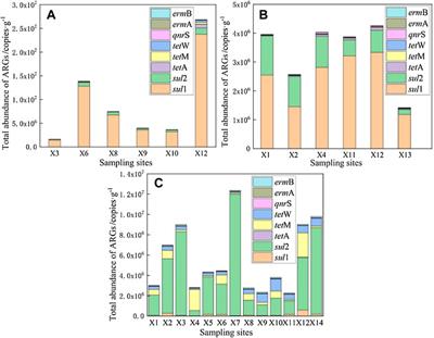 Multi-Media Occurrence of Antibiotics and Antibiotic Resistance Genes in East Dongting Lake